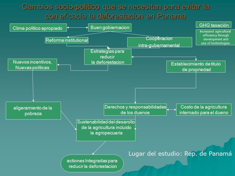 Cambios socio-politico que se necesitan para evitar la con eficacia la deforestacion en Panama
