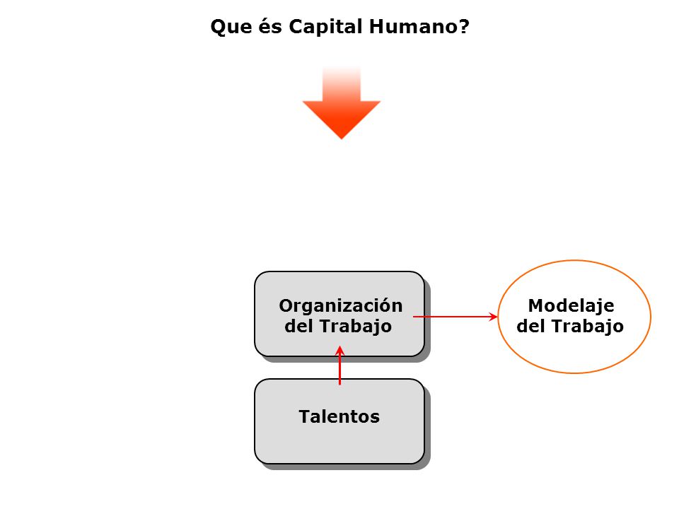 Que és Capital Humano Organización del Trabajo Modelaje del Trabajo