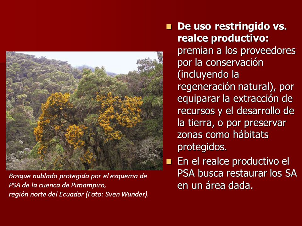 En el realce productivo el PSA busca restaurar los SA en un área dada.