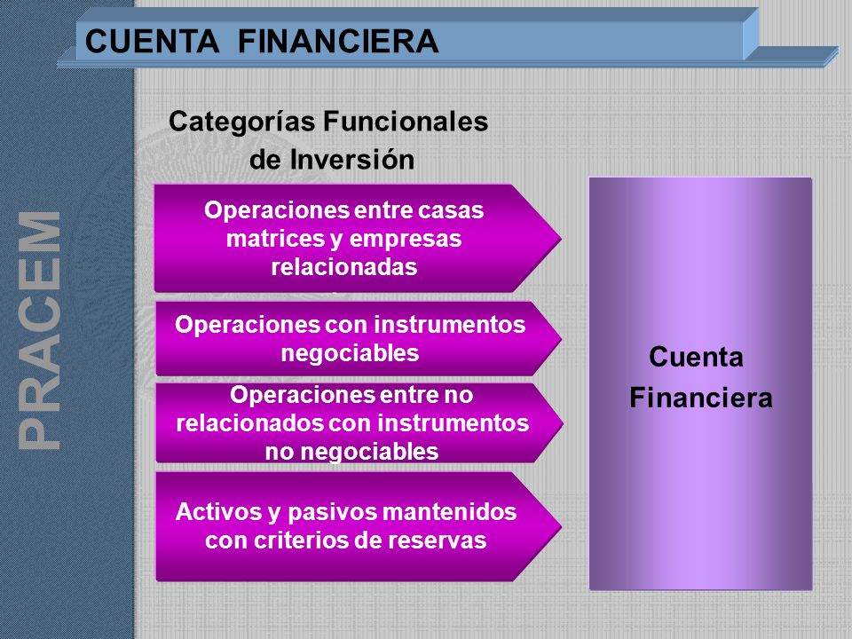 Categorías Funcionales