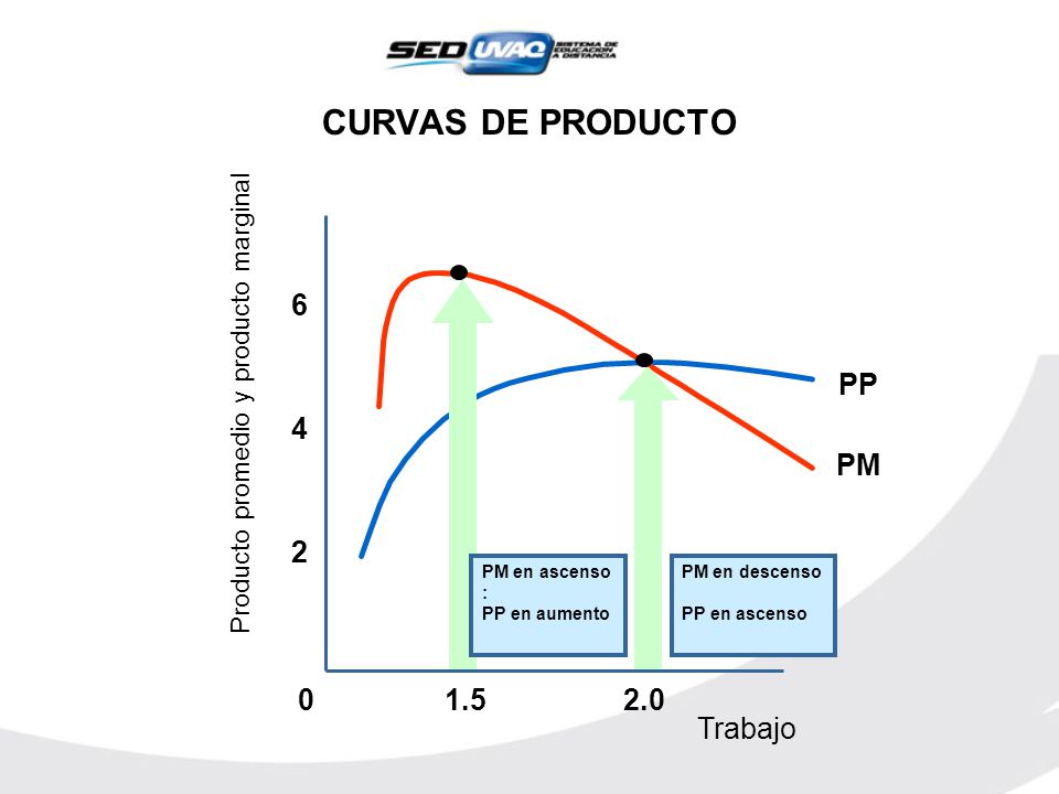 CURVAS DE PRODUCTO PM 6 PP Trabajo