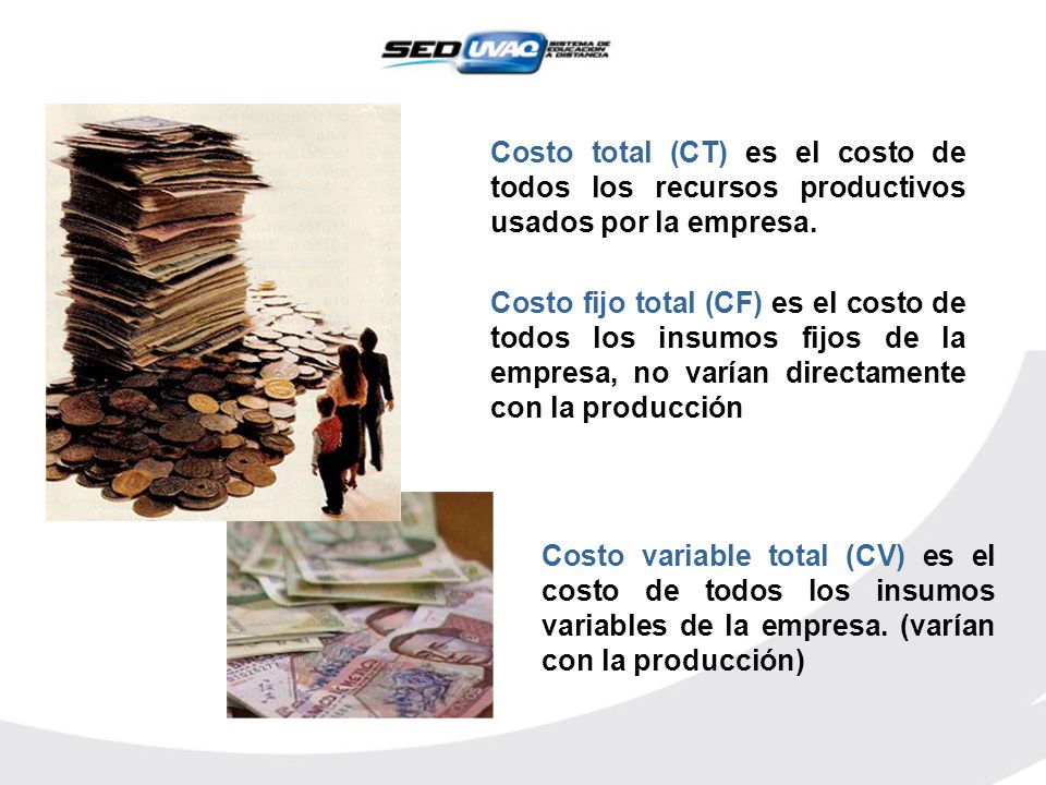 Costo total (CT) es el costo de todos los recursos productivos usados por la empresa.