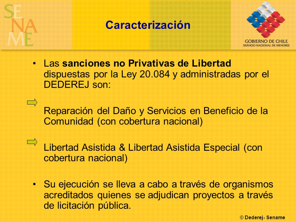 Caracterización Las sanciones no Privativas de Libertad dispuestas por la Ley y administradas por el DEDEREJ son: