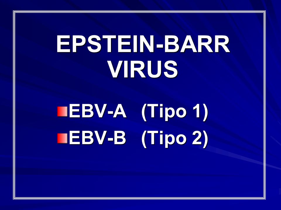 EPSTEIN-BARR VIRUS EBV-A (Tipo 1) EBV-B (Tipo 2)