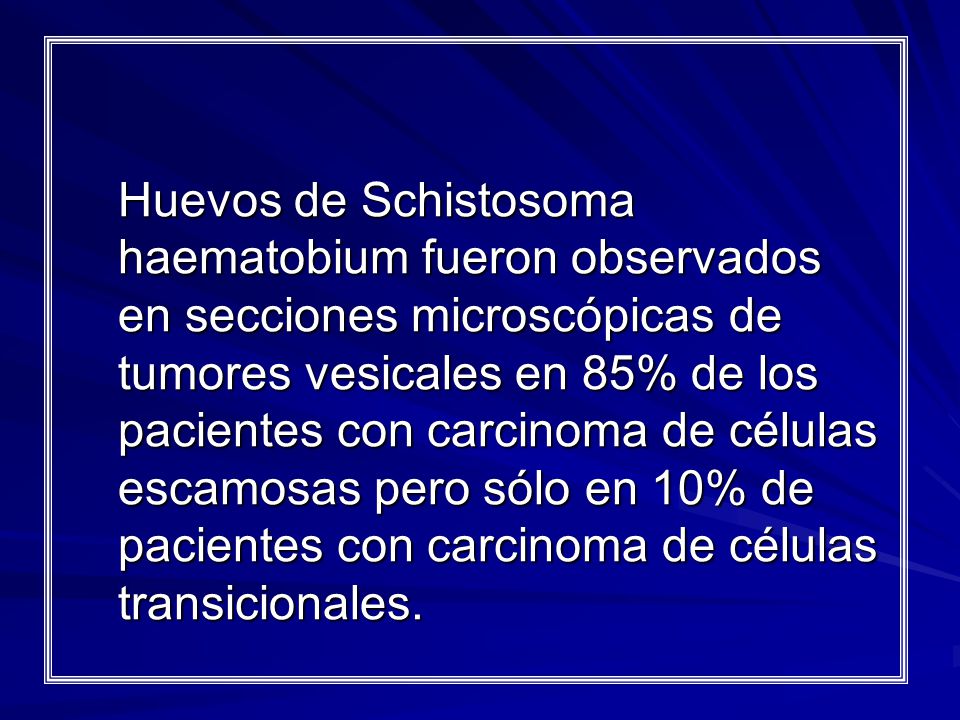 Huevos de Schistosoma haematobium fueron observados en secciones microscópicas de tumores vesicales en 85% de los pacientes con carcinoma de células escamosas pero sólo en 10% de pacientes con carcinoma de células transicionales.