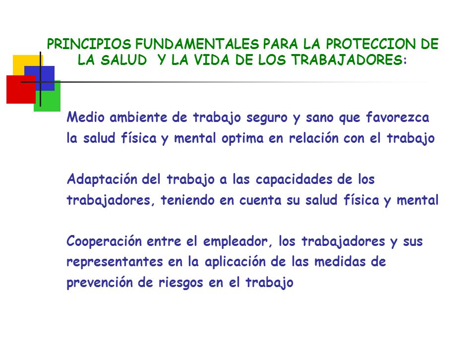 PRINCIPIOS FUNDAMENTALES PARA LA PROTECCION DE LA SALUD Y LA VIDA DE LOS TRABAJADORES: