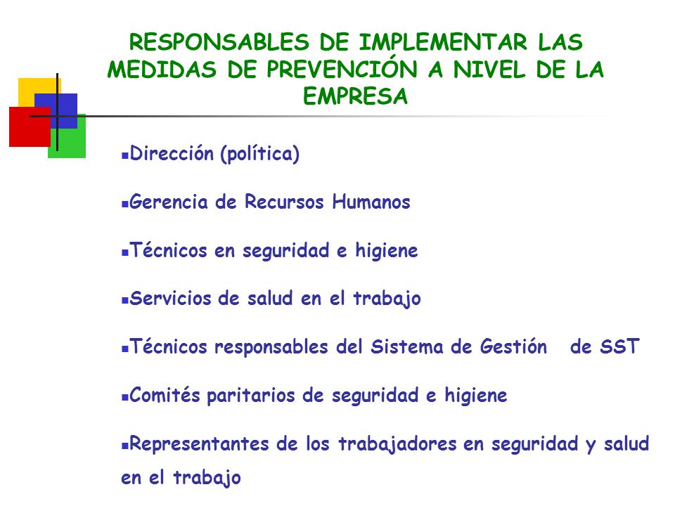RESPONSABLES DE IMPLEMENTAR LAS MEDIDAS DE PREVENCIÓN A NIVEL DE LA EMPRESA