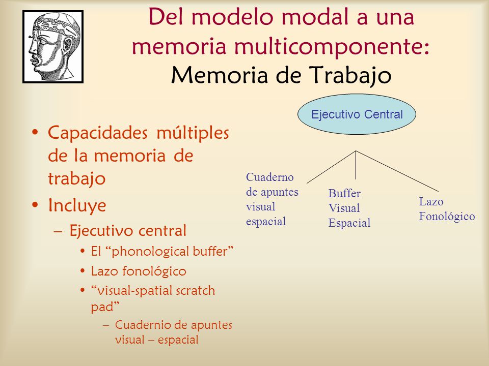 Del modelo modal a una memoria multicomponente: Memoria de Trabajo