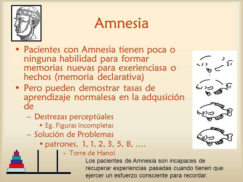 Amnesia Pacientes con Amnesia tienen poca o ninguna habilidad para formar memorias nuevas para exerienciasa o hechos (memoria declarativa)