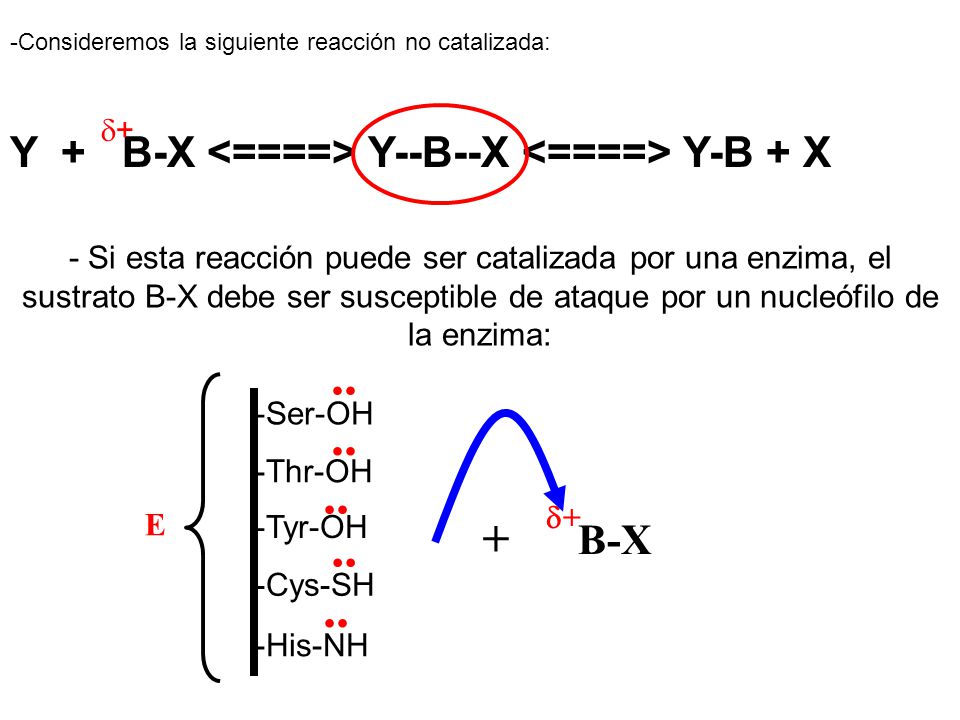 .. + Y + B-X <====> Y--B--X <====> Y-B + X B-X d+