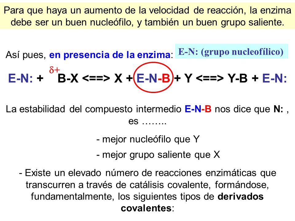 E-N: + B-X <==> X + E-N-B + Y <==> Y-B + E-N: