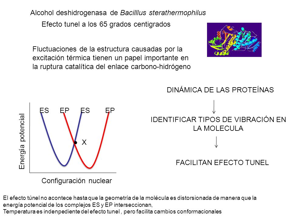 IDENTIFICAR TIPOS DE VIBRACIÓN EN LA MOLECULA