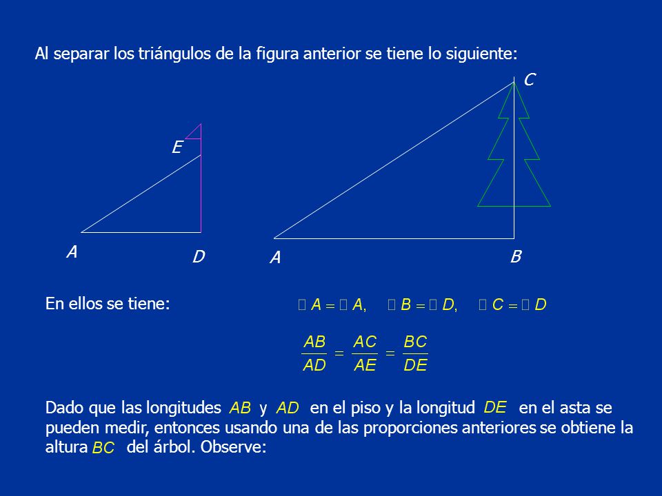 Al separar los triángulos de la figura anterior se tiene lo siguiente: