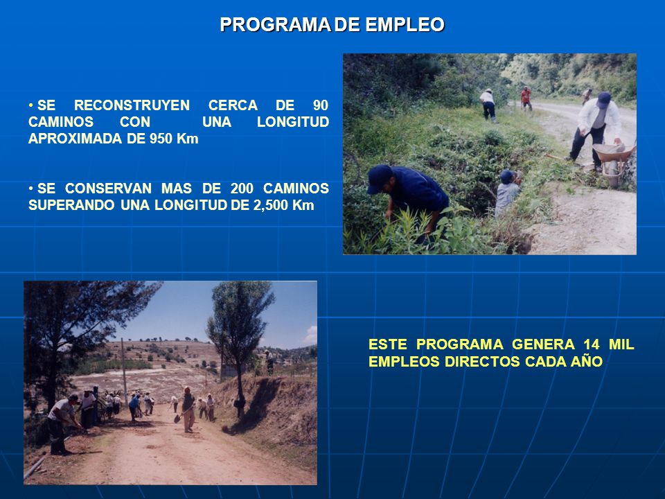 PROGRAMA DE EMPLEO SE RECONSTRUYEN CERCA DE 90 CAMINOS CON UNA LONGITUD APROXIMADA DE 950 Km.