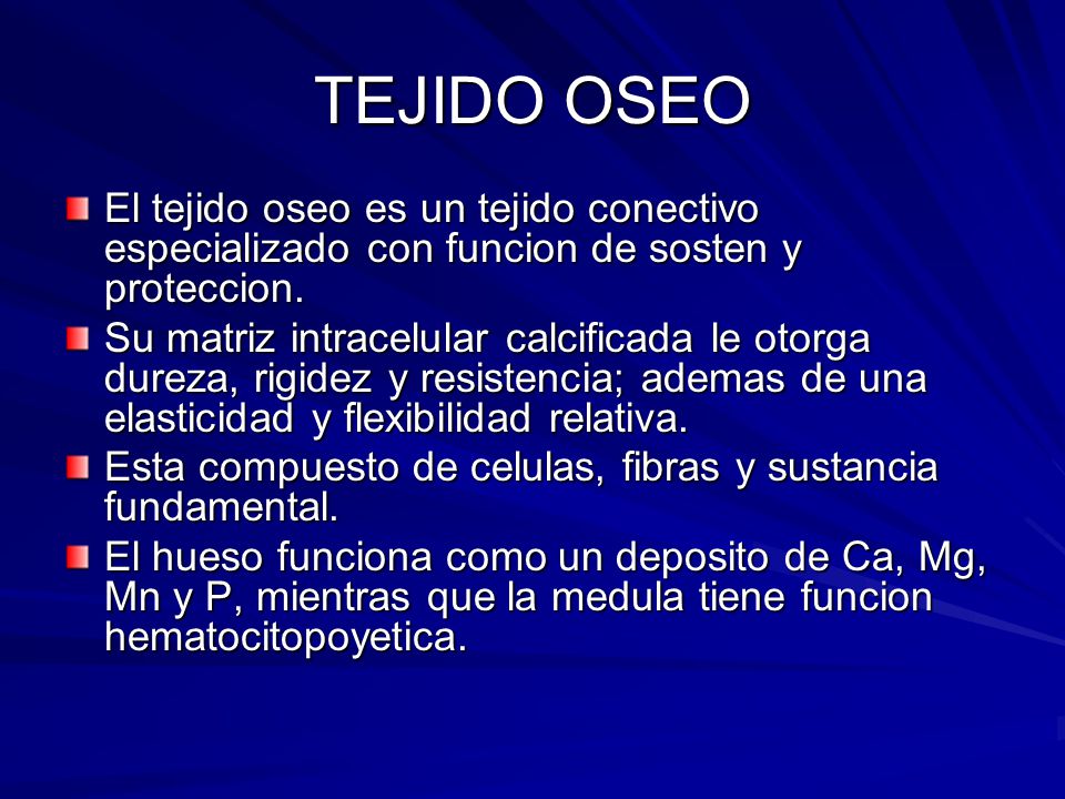TEJIDO OSEO El tejido oseo es un tejido conectivo especializado con funcion de sosten y proteccion.