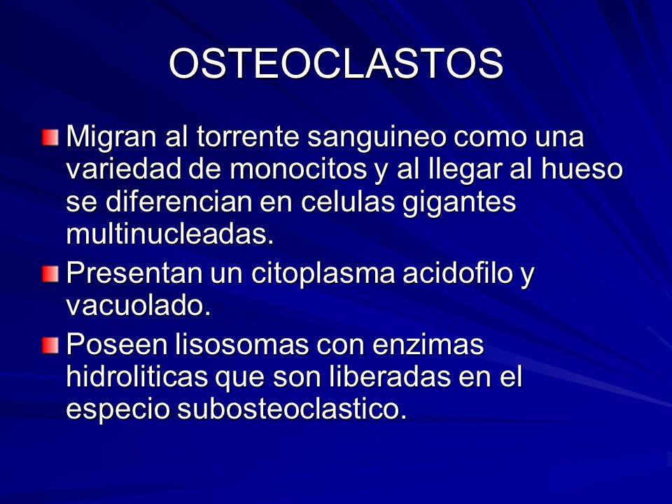 OSTEOCLASTOS Migran al torrente sanguineo como una variedad de monocitos y al llegar al hueso se diferencian en celulas gigantes multinucleadas.