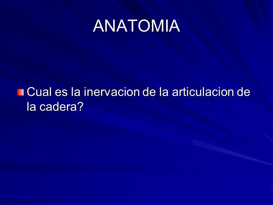 ANATOMIA Cual es la inervacion de la articulacion de la cadera