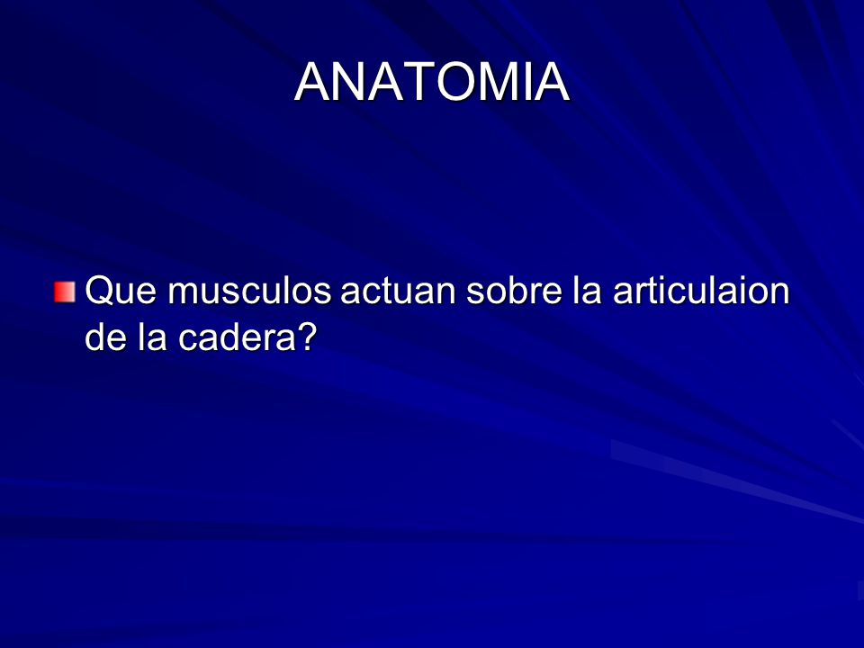 ANATOMIA Que musculos actuan sobre la articulaion de la cadera
