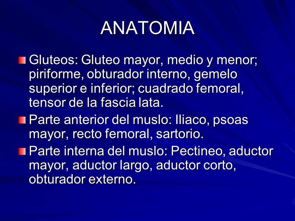 ANATOMIA Gluteos: Gluteo mayor, medio y menor; piriforme, obturador interno, gemelo superior e inferior; cuadrado femoral, tensor de la fascia lata.