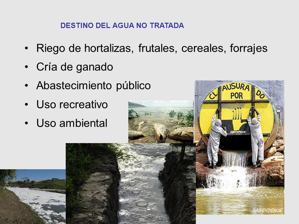 Riego de hortalizas, frutales, cereales, forrajes Cría de ganado