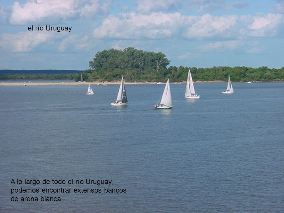 el río Uruguay A lo largo de todo el río Uruguay, podemos encontrar extensos bancos de arena blanca