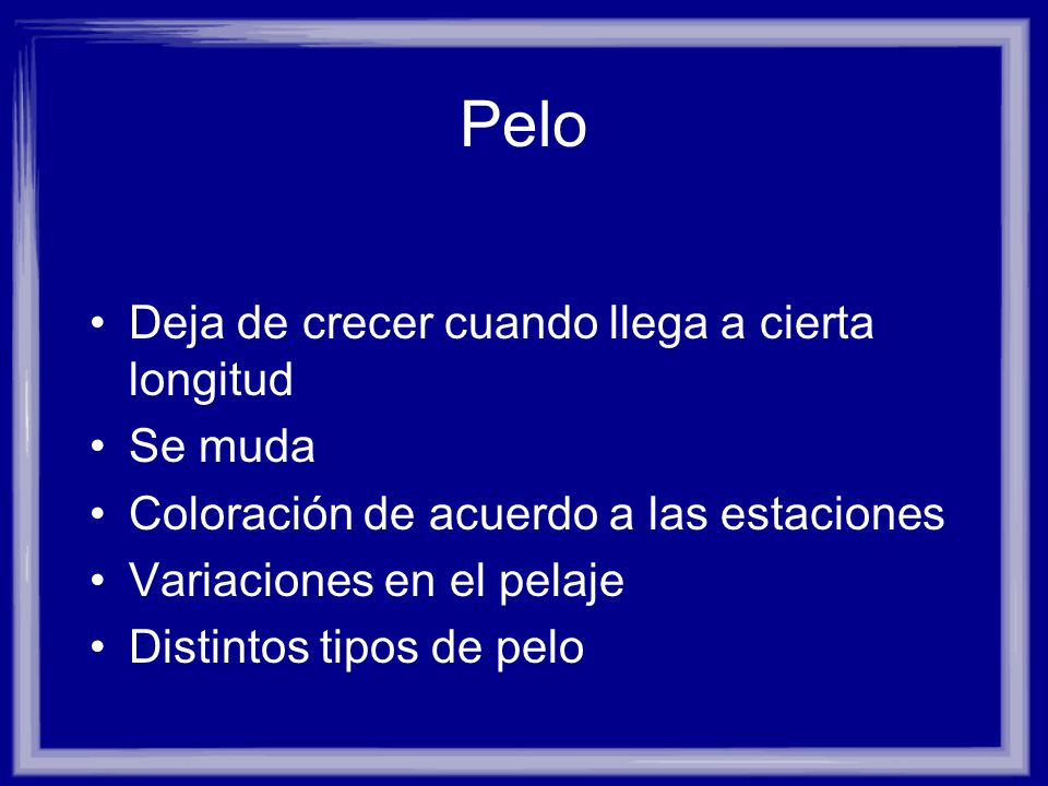 Pelo Deja de crecer cuando llega a cierta longitud Se muda