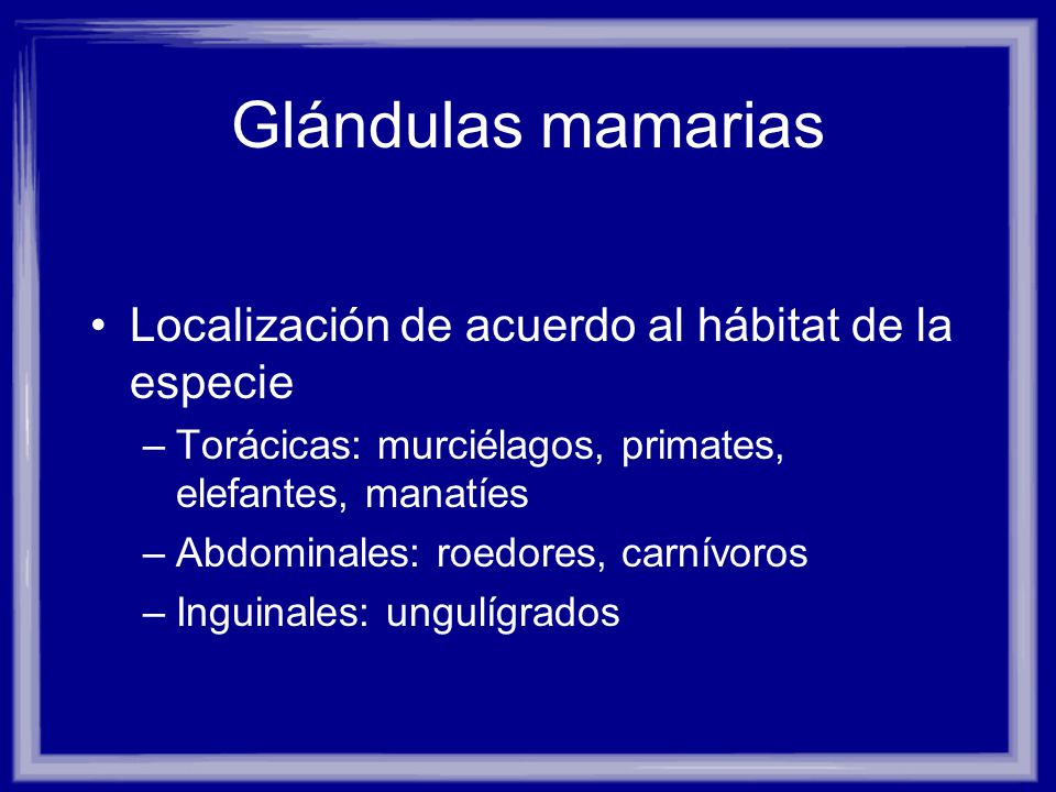 Glándulas mamarias Localización de acuerdo al hábitat de la especie