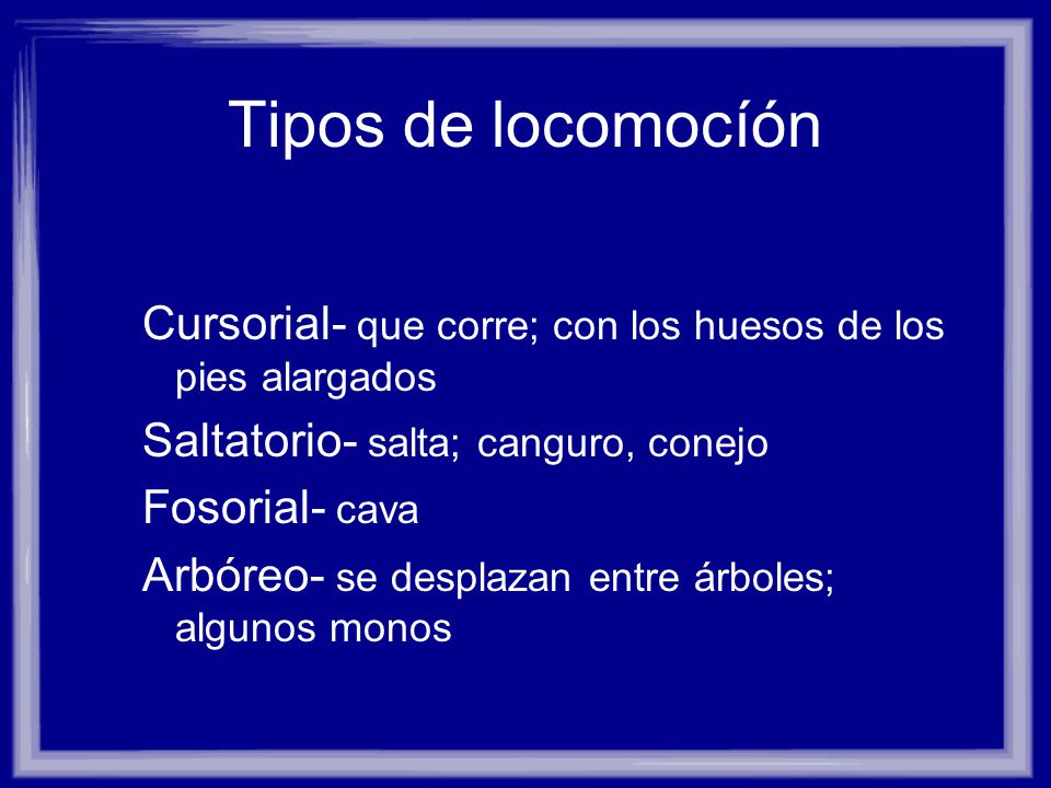 Tipos de locomocíón Cursorial- que corre; con los huesos de los pies alargados. Saltatorio- salta; canguro, conejo.