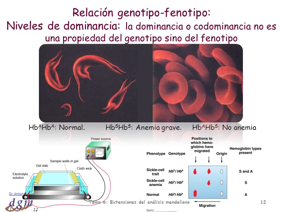 Tema 6: Extensiones del análisis mendeliano
