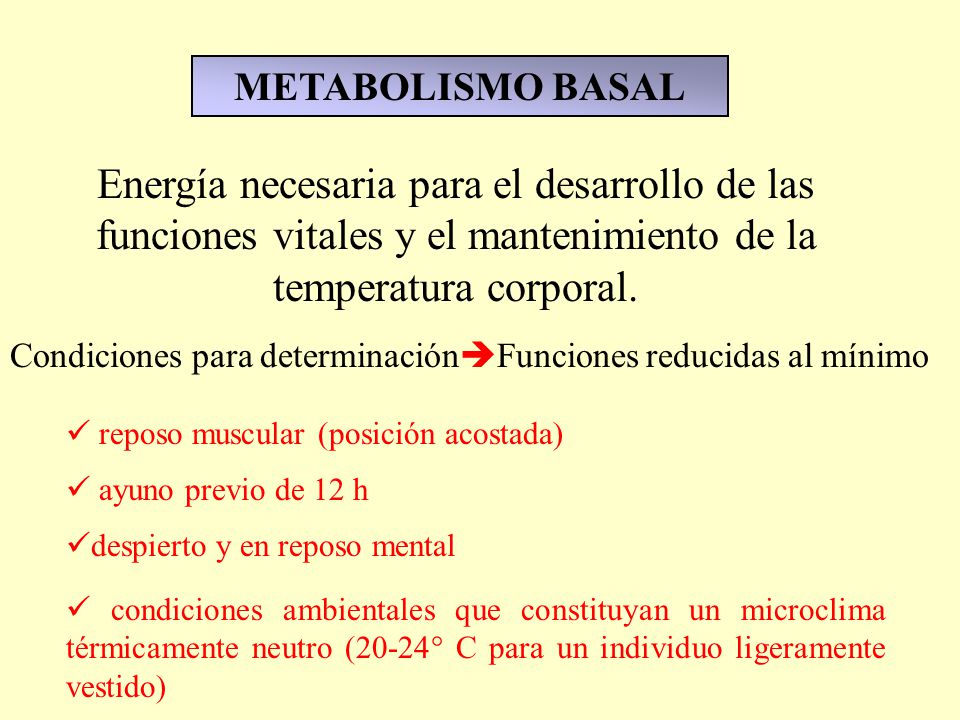 METABOLISMO BASAL Energía necesaria para el desarrollo de las funciones vitales y el mantenimiento de la temperatura corporal.