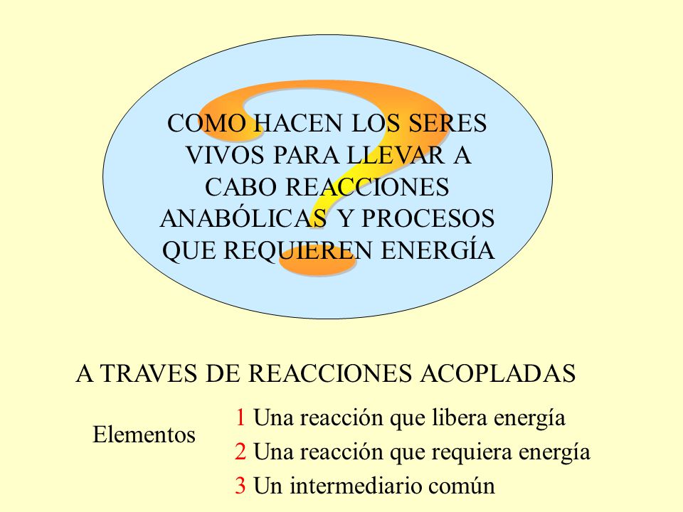 COMO HACEN LOS SERES VIVOS PARA LLEVAR A CABO REACCIONES ANABÓLICAS Y PROCESOS QUE REQUIEREN ENERGÍA.