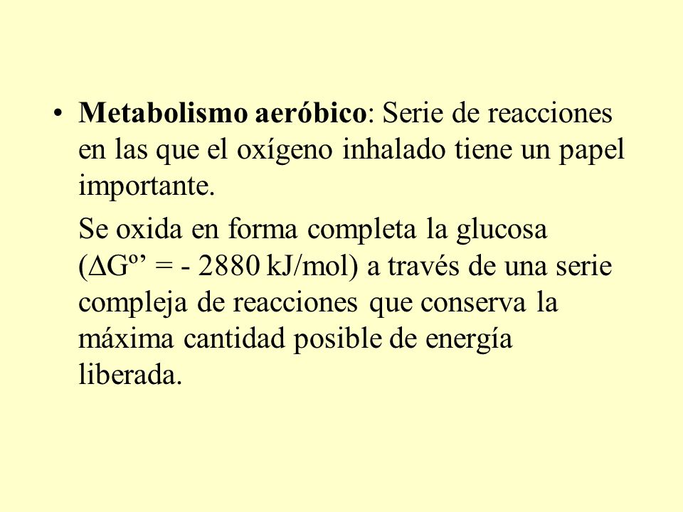 Metabolismo aeróbico: Serie de reacciones en las que el oxígeno inhalado tiene un papel importante.