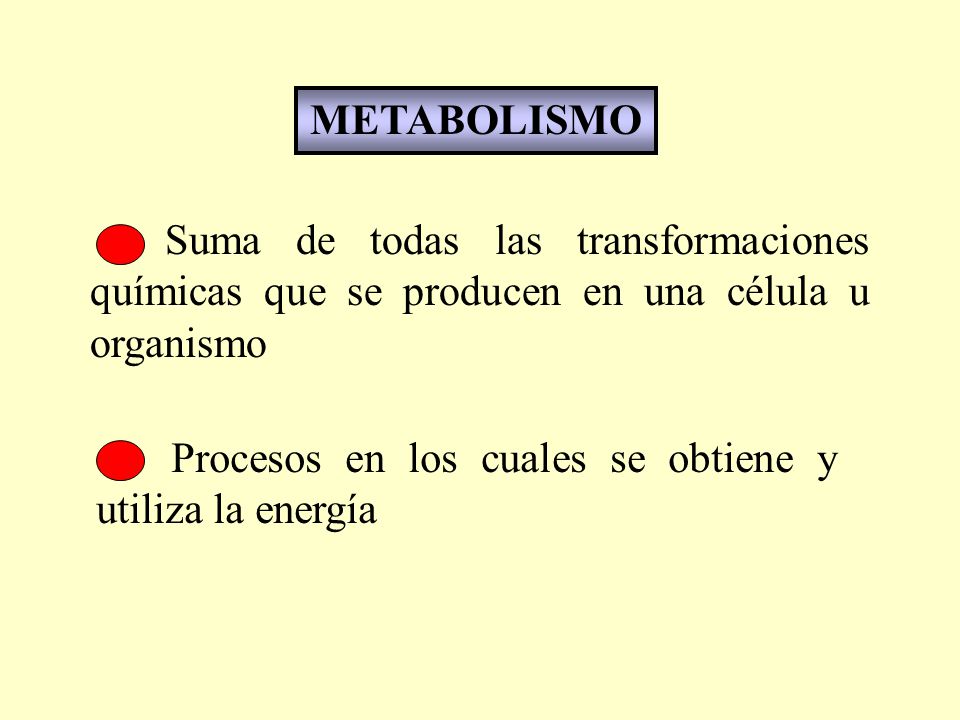 METABOLISMO Suma de todas las transformaciones químicas que se producen en una célula u organismo.