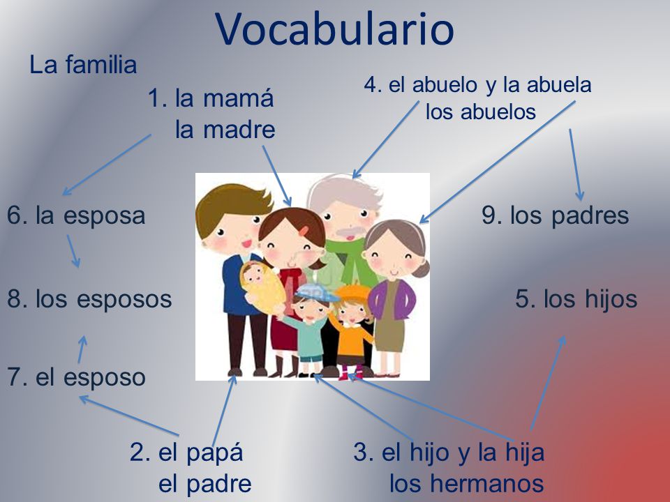 Vocabulario La familia 1. la mamá la madre 6. la esposa 9. los padres