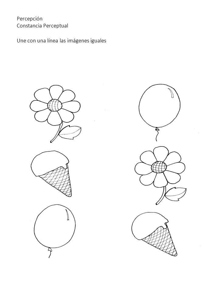 Percepción Constancia Perceptual Une con una línea las imágenes iguales