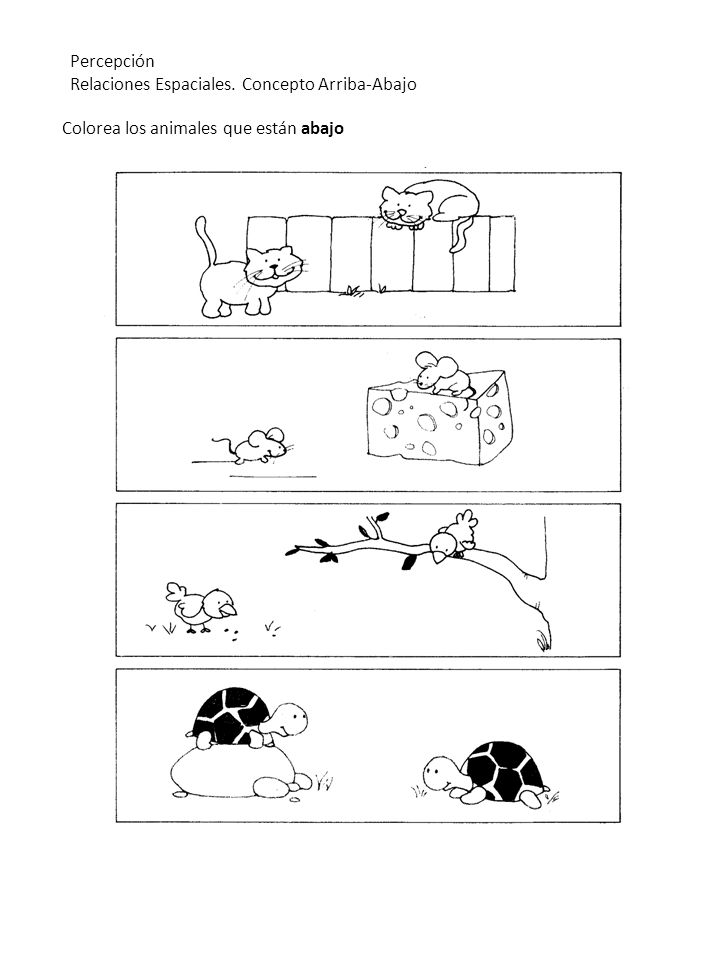 Percepción Relaciones Espaciales. Concepto Arriba-Abajo Colorea los animales que están abajo