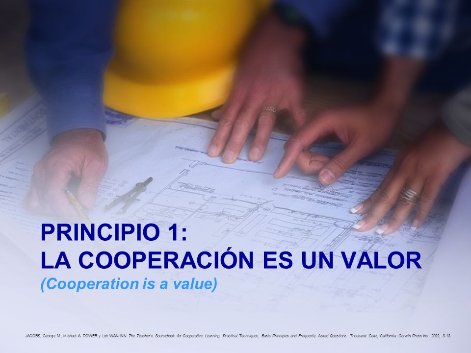PRINCIPIO 1: LA COOPERACIÓN ES UN VALOR (Cooperation is a value)