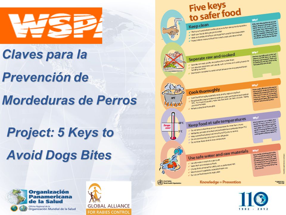 Proyecto: Las 5 Claves para la Prevención de Mordeduras de Perros