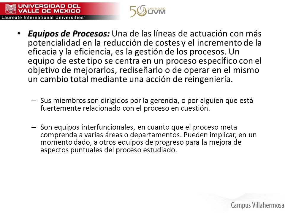 Equipos de Procesos: Una de las líneas de actuación con más potencialidad en la reducción de costes y el incremento de la eficacia y la eficiencia, es la gestión de los procesos. Un equipo de este tipo se centra en un proceso específico con el objetivo de mejorarlos, rediseñarlo o de operar en el mismo un cambio total mediante una acción de reingeniería.