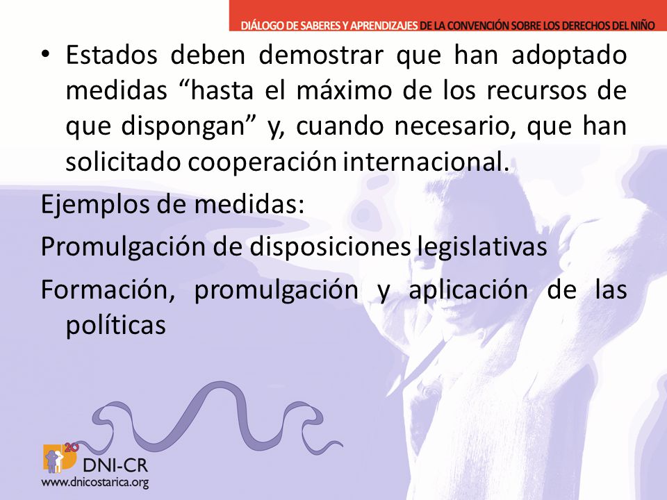 Estados deben demostrar que han adoptado medidas hasta el máximo de los recursos de que dispongan y, cuando necesario, que han solicitado cooperación internacional.