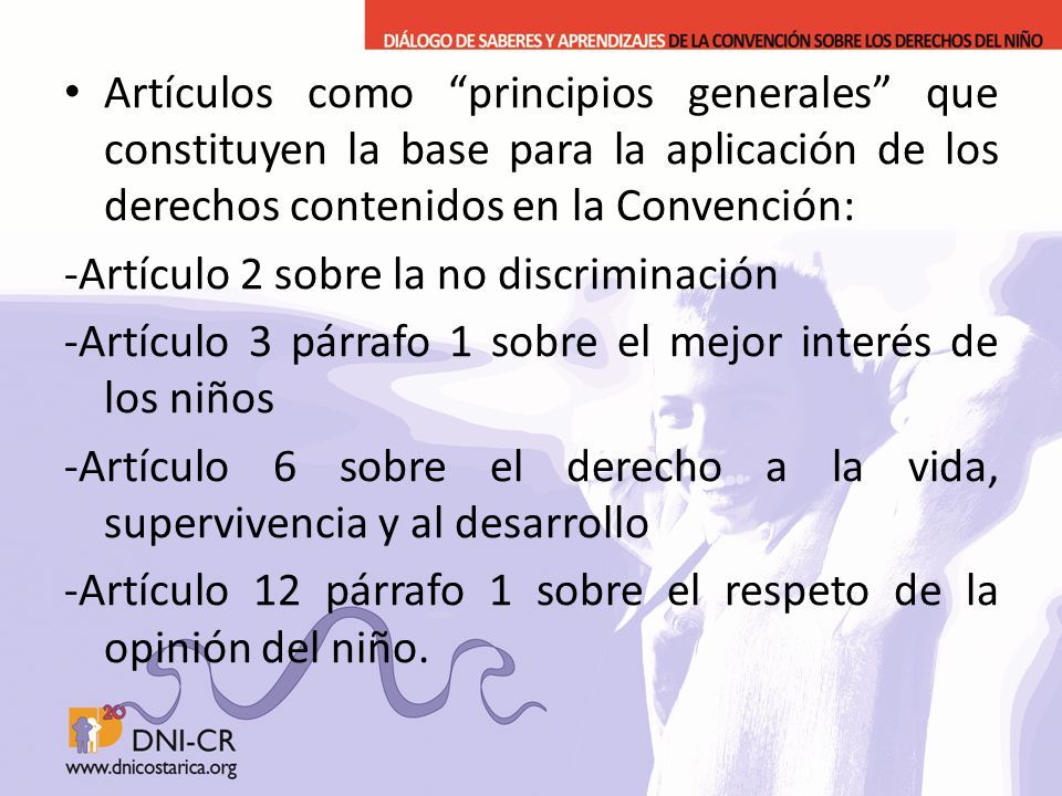 Artículos como principios generales que constituyen la base para la aplicación de los derechos contenidos en la Convención: