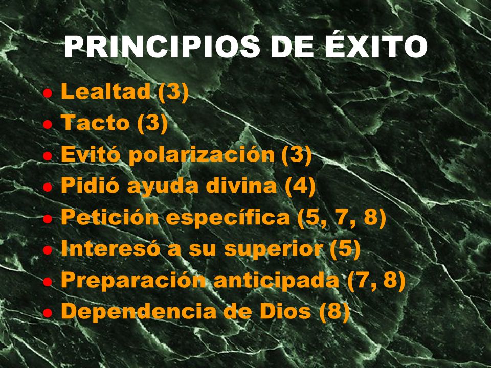 PRINCIPIOS DE ÉXITO Lealtad (3) Tacto (3) Evitó polarización (3)