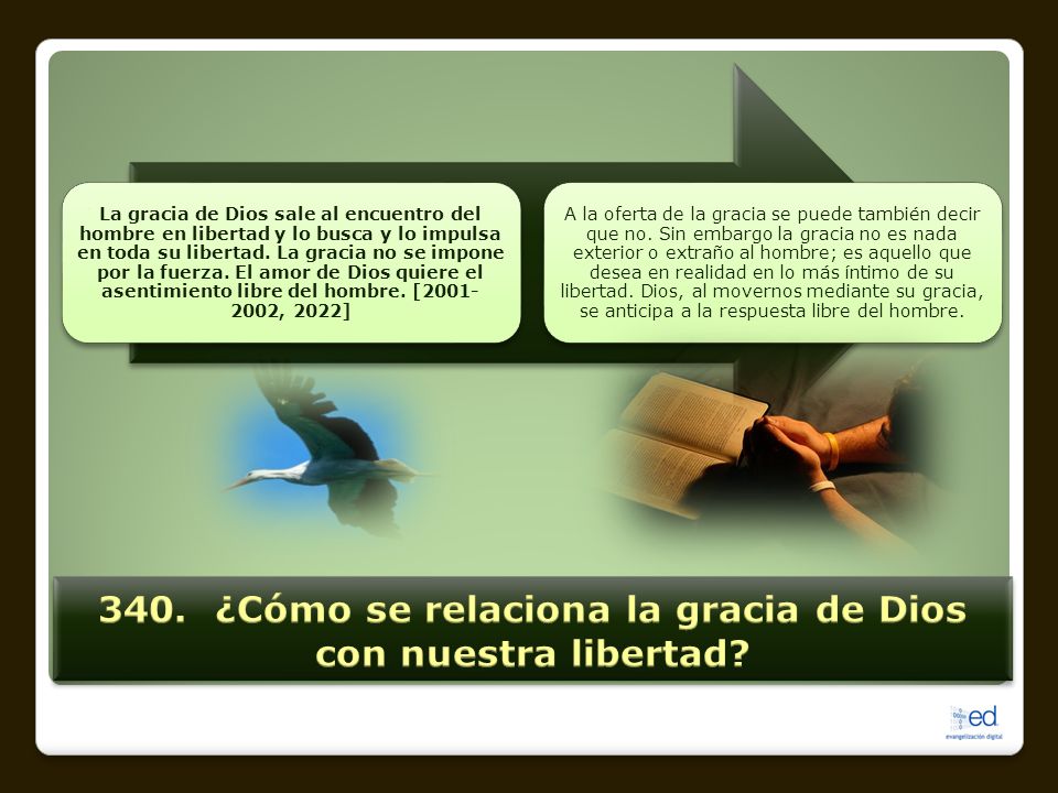 340. ¿Cómo se relaciona la gracia de Dios con nuestra libertad