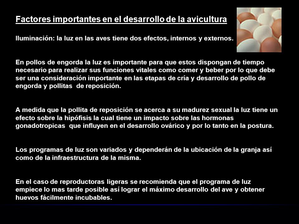 Factores importantes en el desarrollo de la avicultura