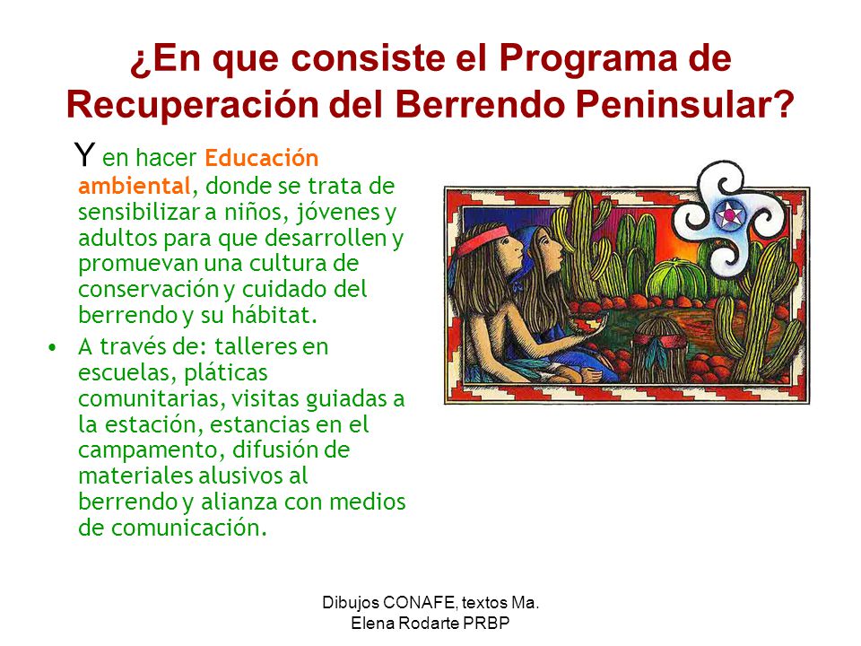 ¿En que consiste el Programa de Recuperación del Berrendo Peninsular
