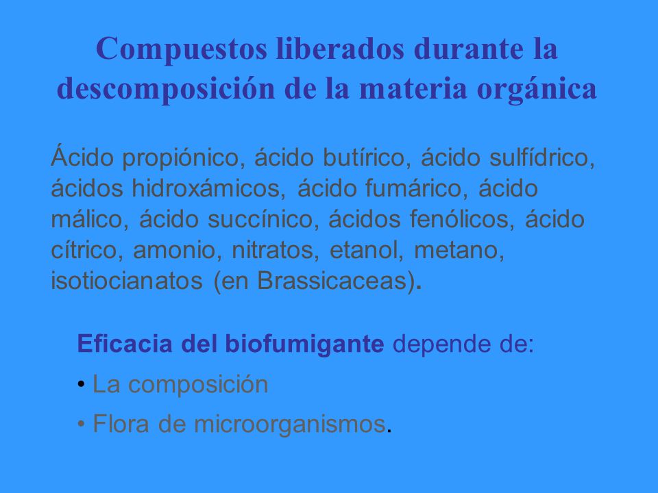 Compuestos liberados durante la descomposición de la materia orgánica