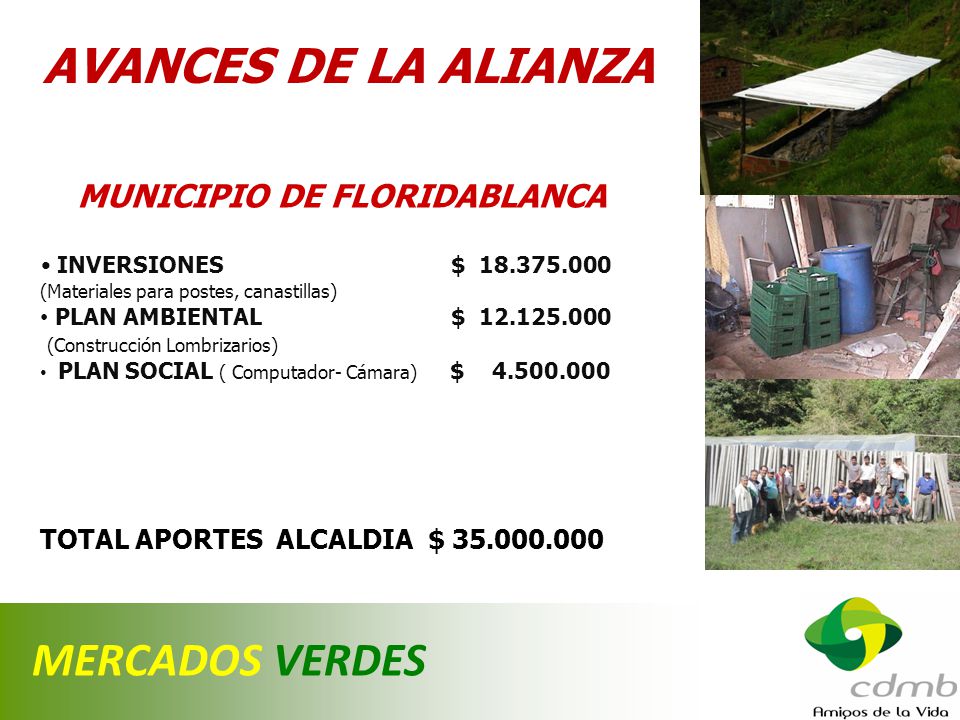 AVANCES DE LA ALIANZA MERCADOS VERDES MUNICIPIO DE FLORIDABLANCA