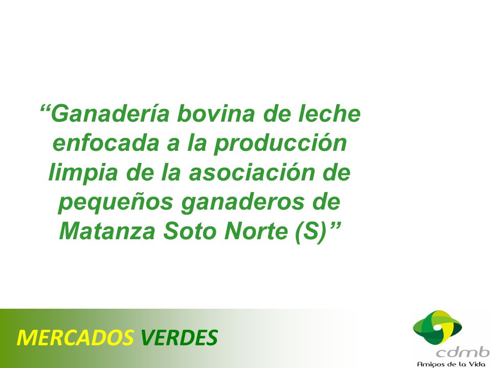 Ganadería bovina de leche enfocada a la producción limpia de la asociación de pequeños ganaderos de Matanza Soto Norte (S)