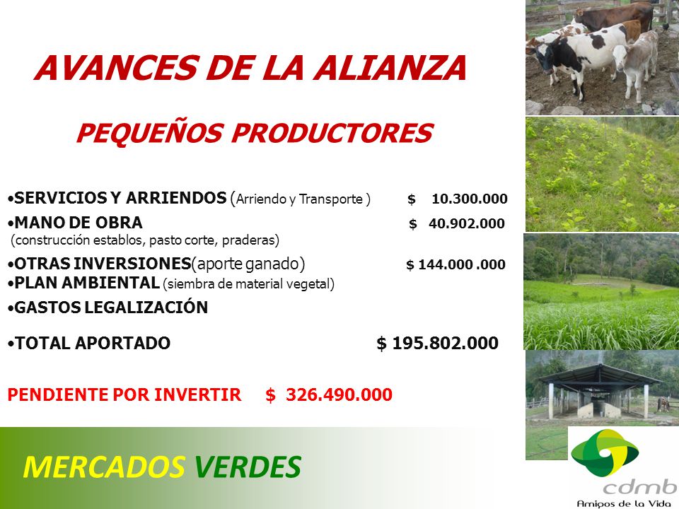 AVANCES DE LA ALIANZA MERCADOS VERDES PEQUEÑOS PRODUCTORES