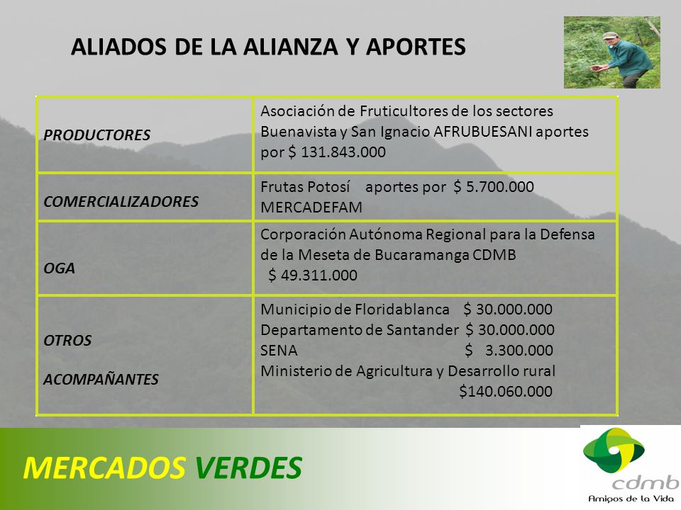 MERCADOS VERDES ALIADOS DE LA ALIANZA Y APORTES PRODUCTORES